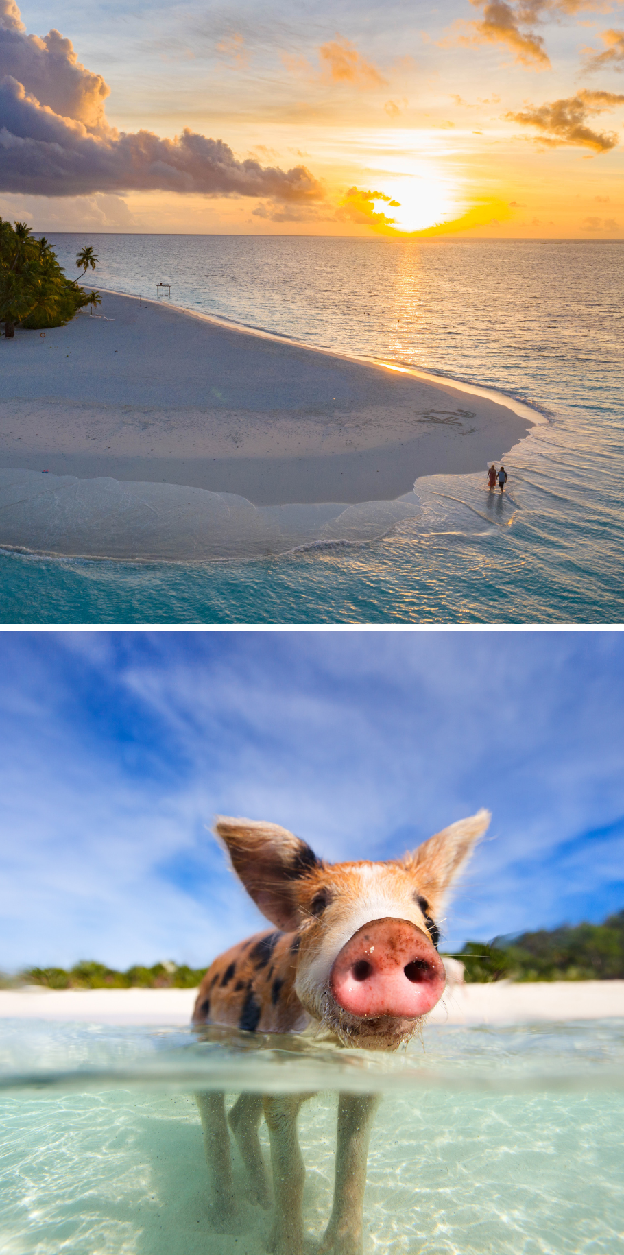NYC Stay & Bahamas Cruise