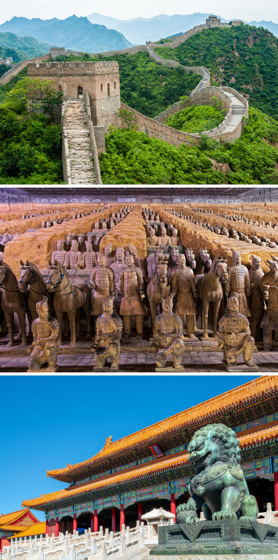 NEW HORIZON OF CHINA