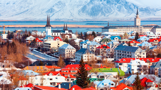 DOWNTOWN REYKJAVIK & NORTHERN LIGHTS