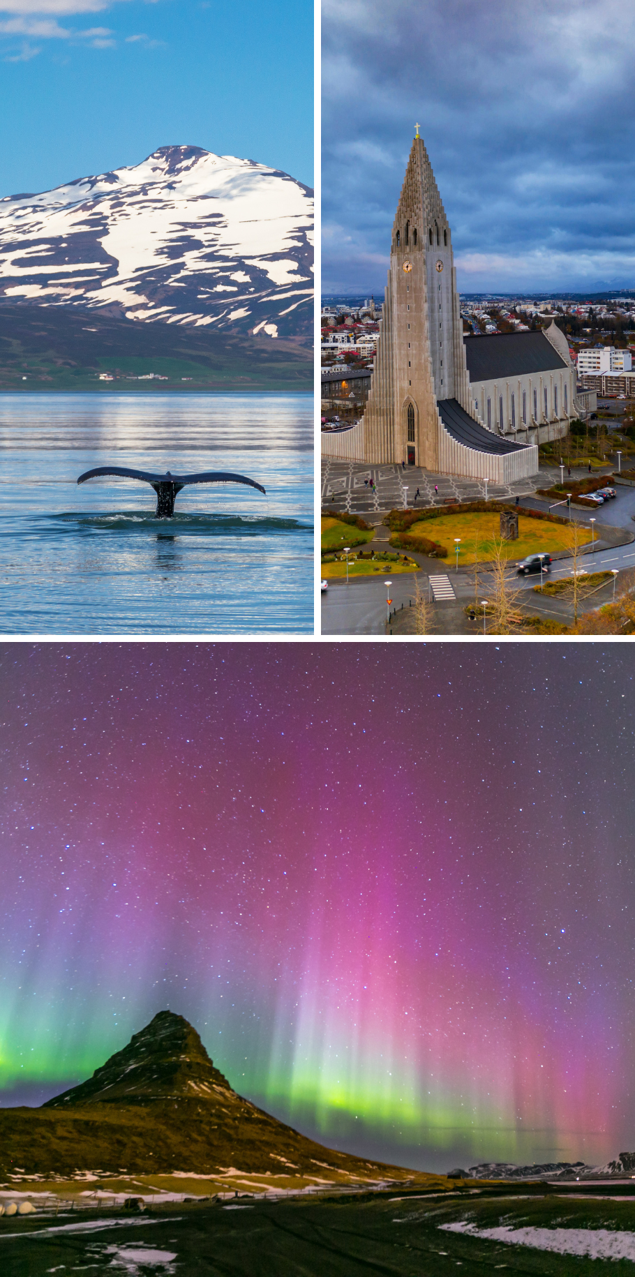 DOWNTOWN REYKJAVIK & NORTHERN LIGHTS