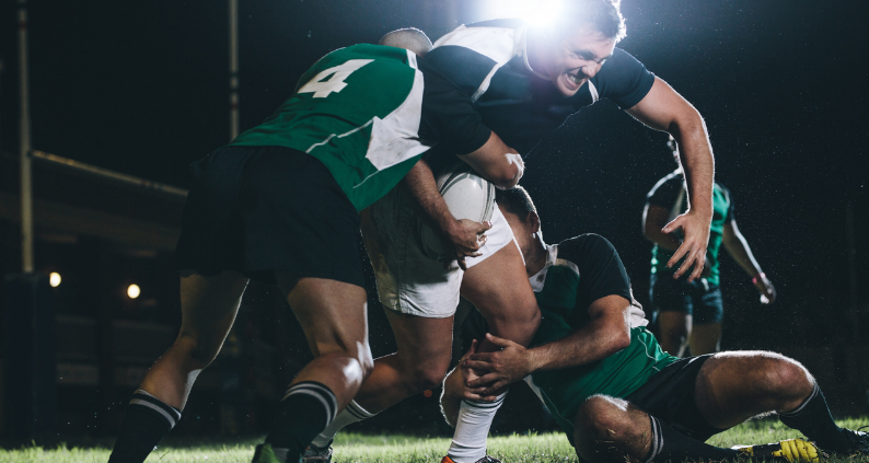 Ireland Rugby - Autumn Tests Dublin