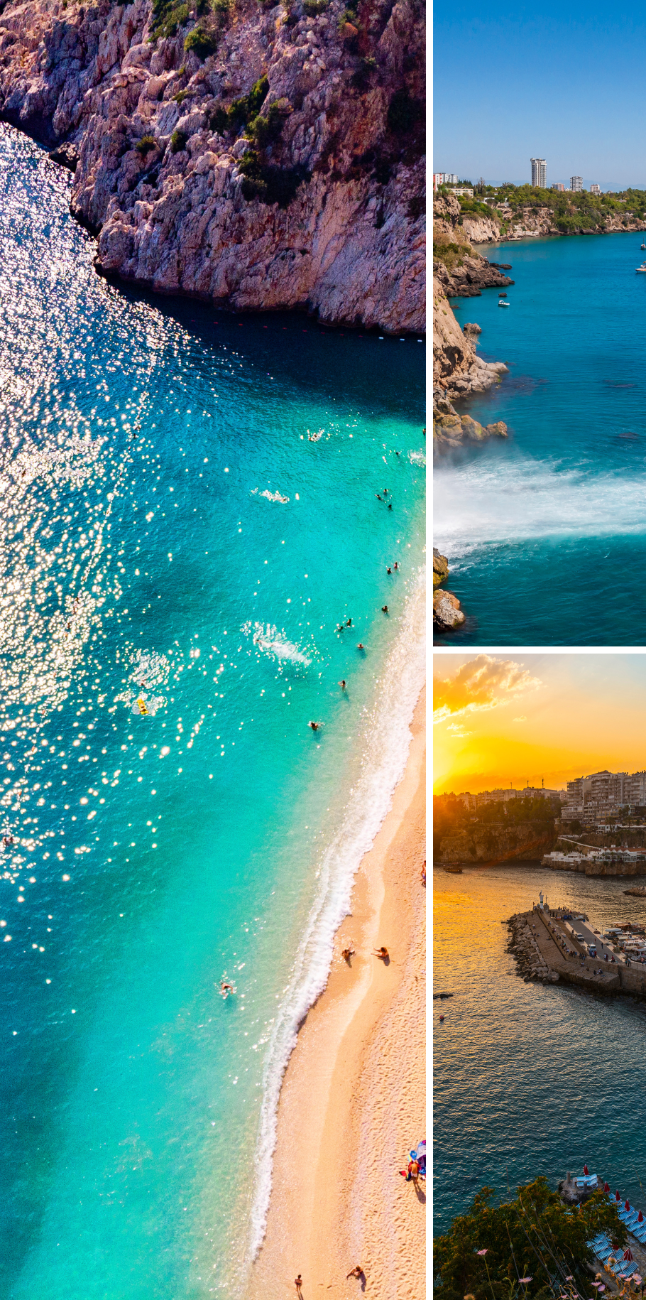 EASTER BREAK FAMILY TURKEY