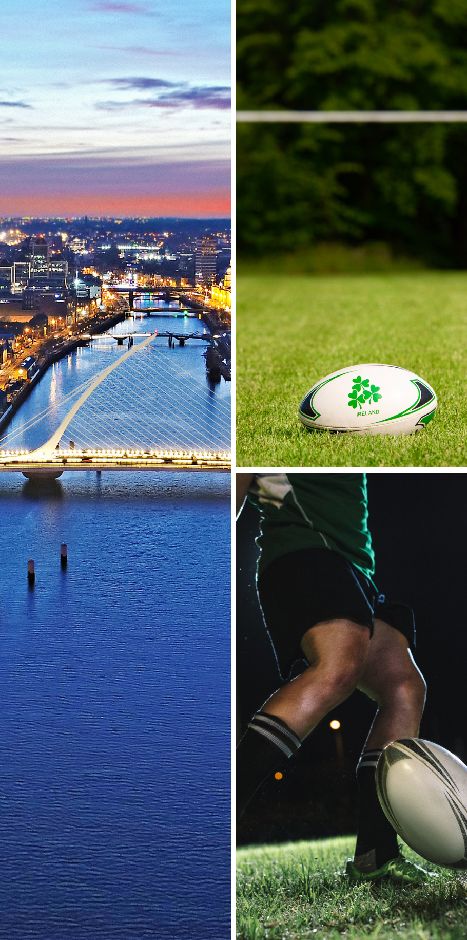 Ireland Rugby - Autumn Tests Dublin