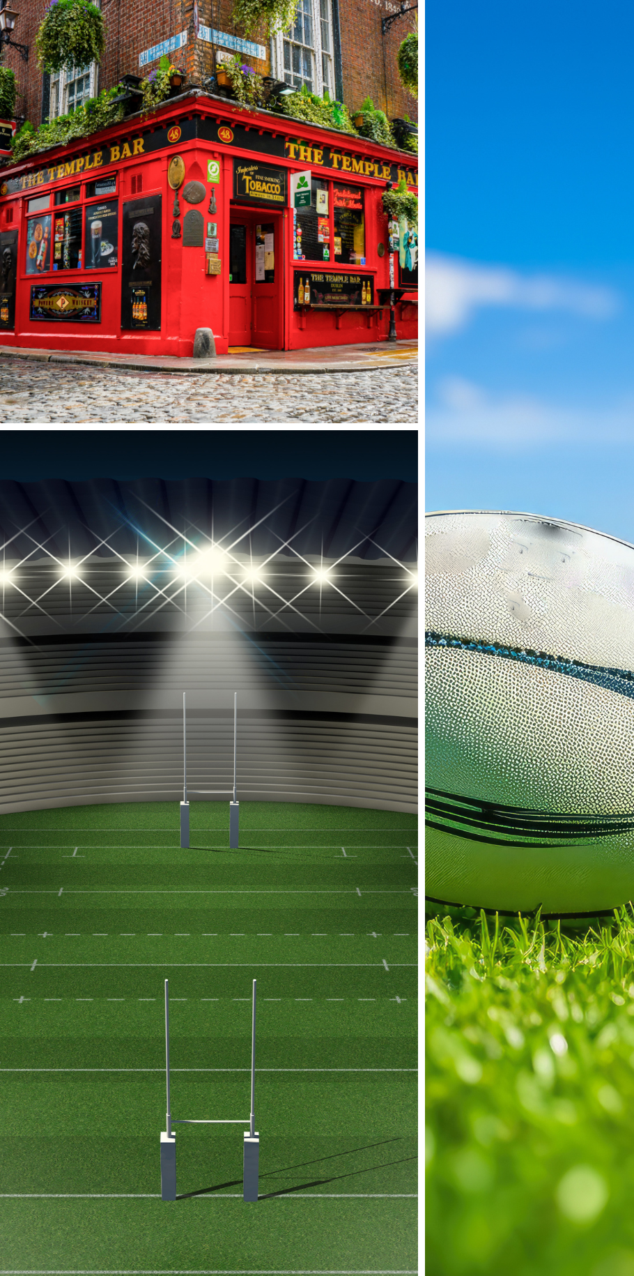 Ireland Rugby - Autumn Tests Dublin