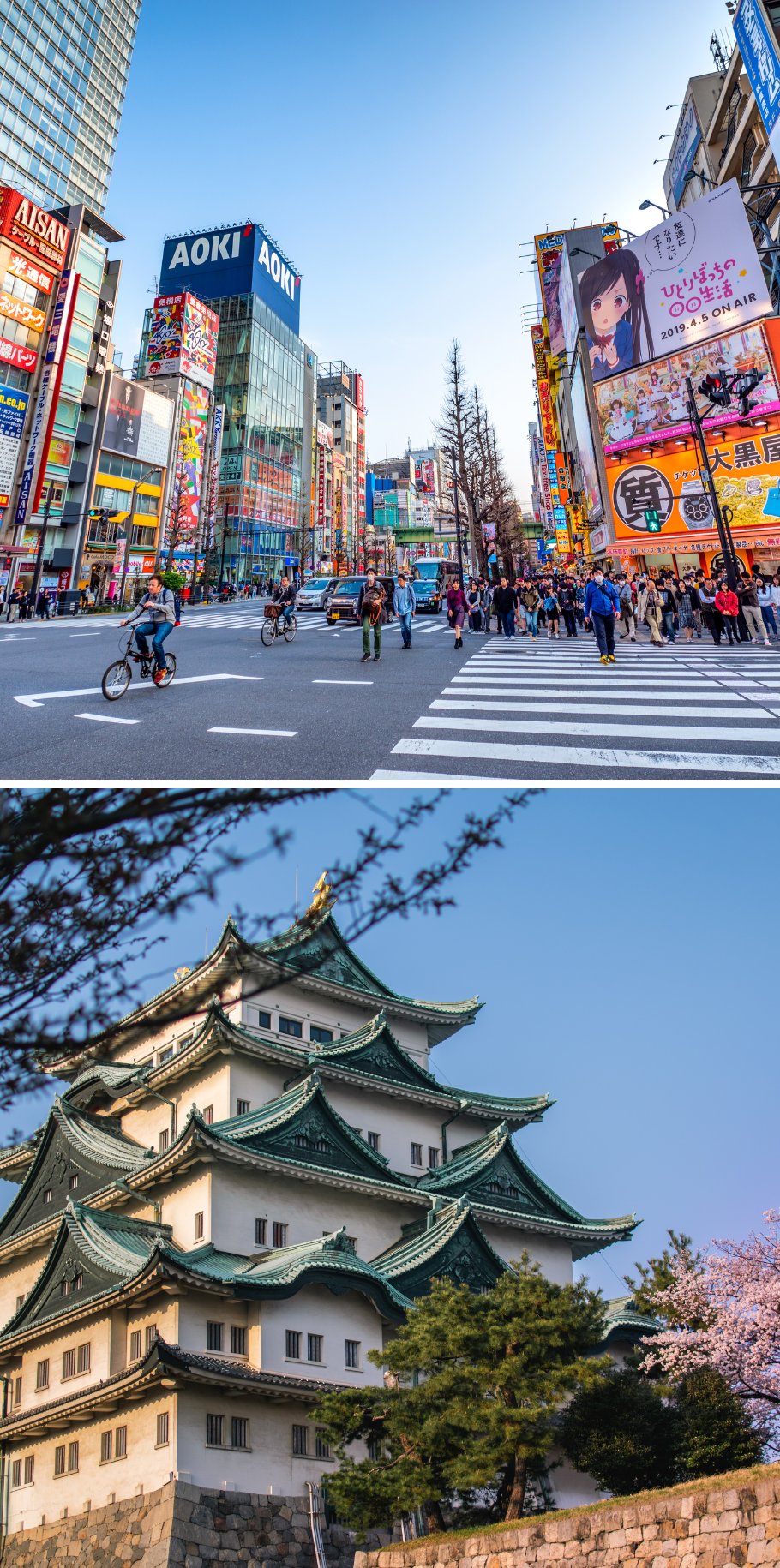 2026 JAPAN MULTI-CENTRE