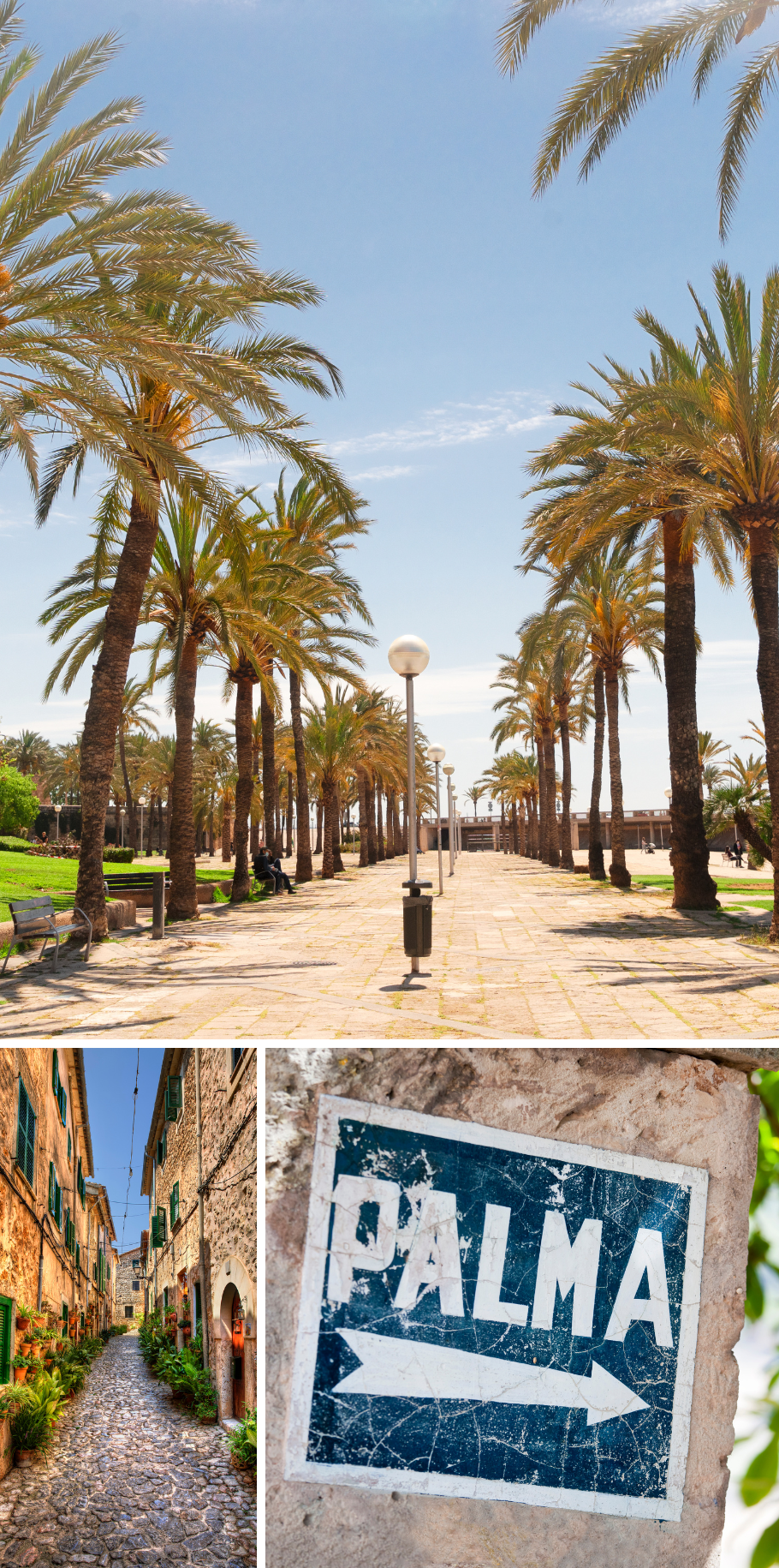 MAJORCA IS CALLING