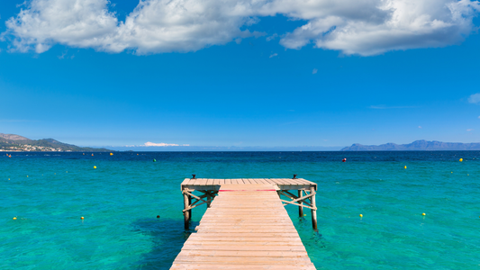 SOLO MAJORCA SAVER