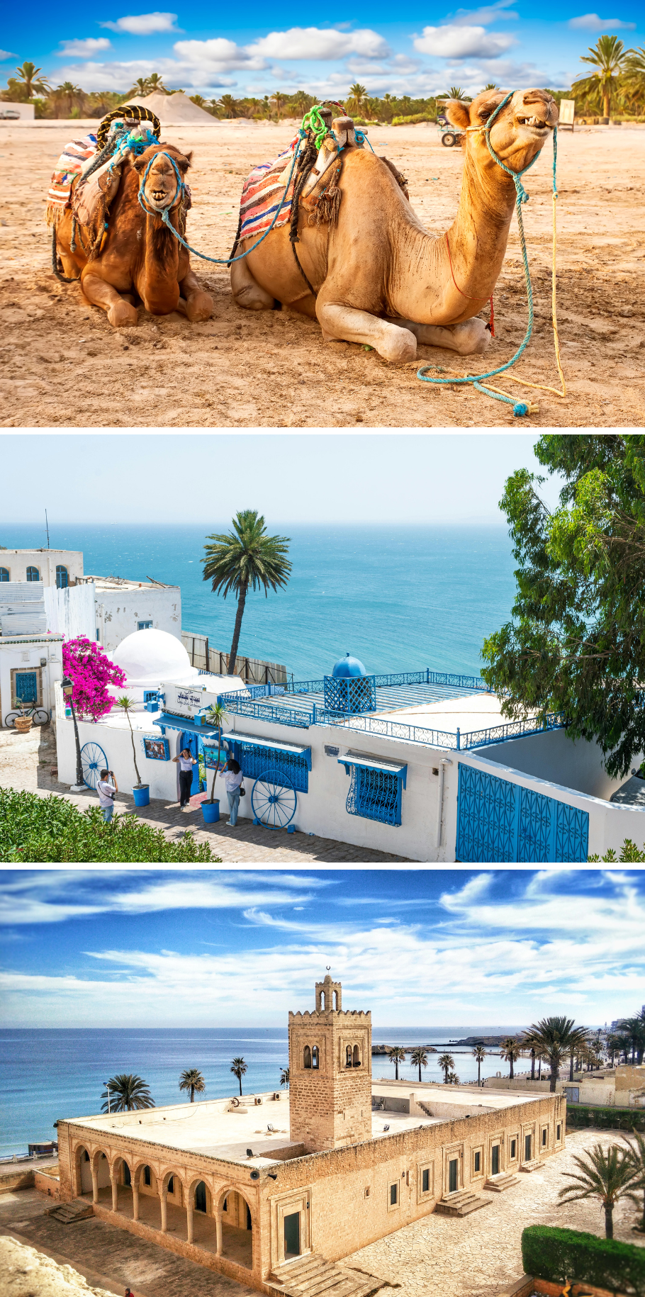 ALL INCLUSIVE TUNISIA FROM ONLY £449PP
