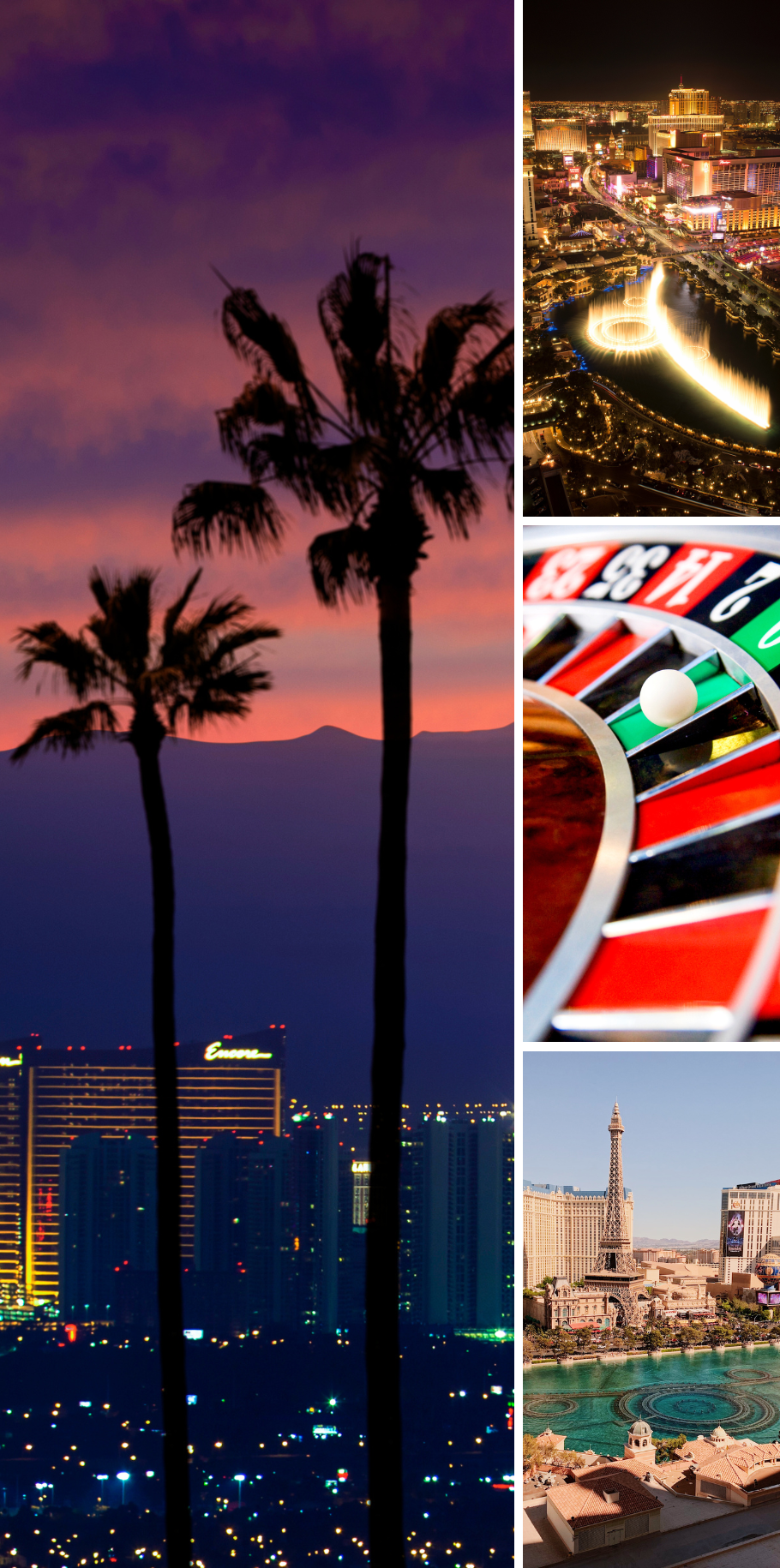 LIVING IT UP IN LAS VEGAS