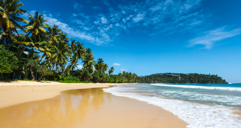 SET YOUR SIGHTS ON SRI LANKA!