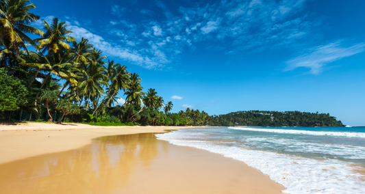 SET YOUR SIGHTS ON SRI LANKA!