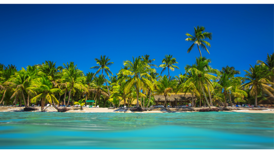 5* DOMINICAN REPUBLIC BREAK