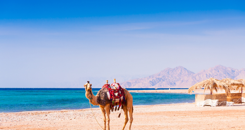 2026 EGYPTIAN ADVENTURE