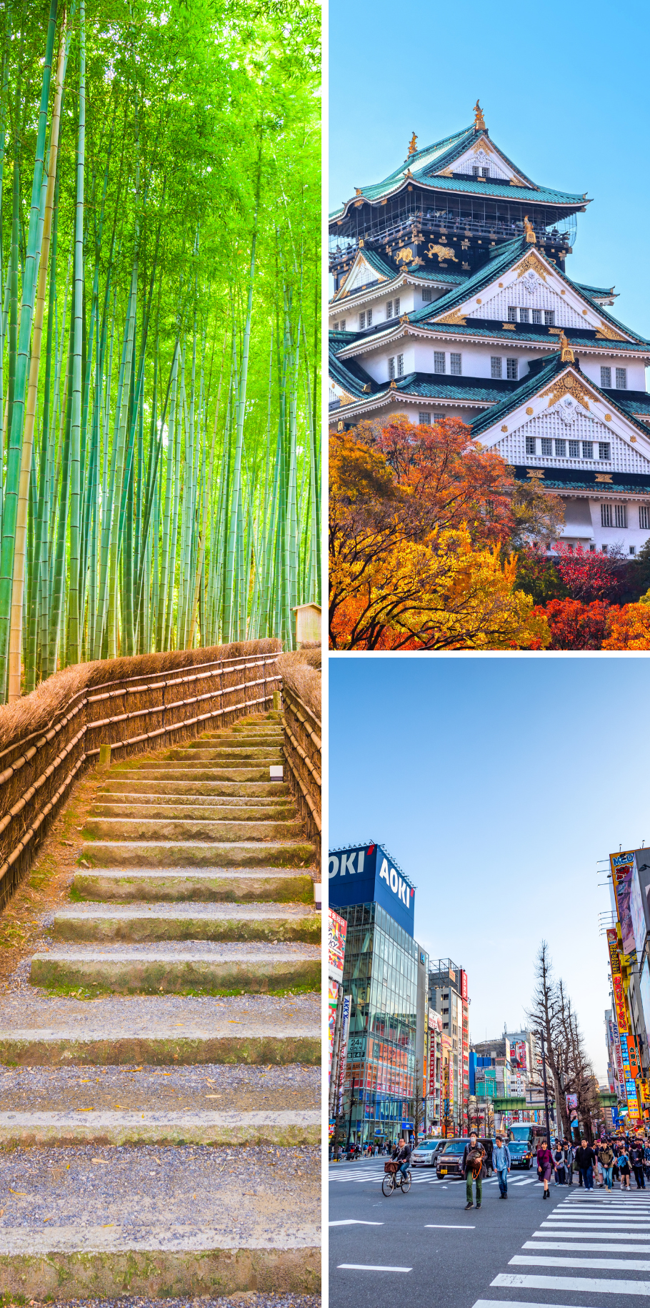 JAPAN & THAILAND MEGA ADVENTURE