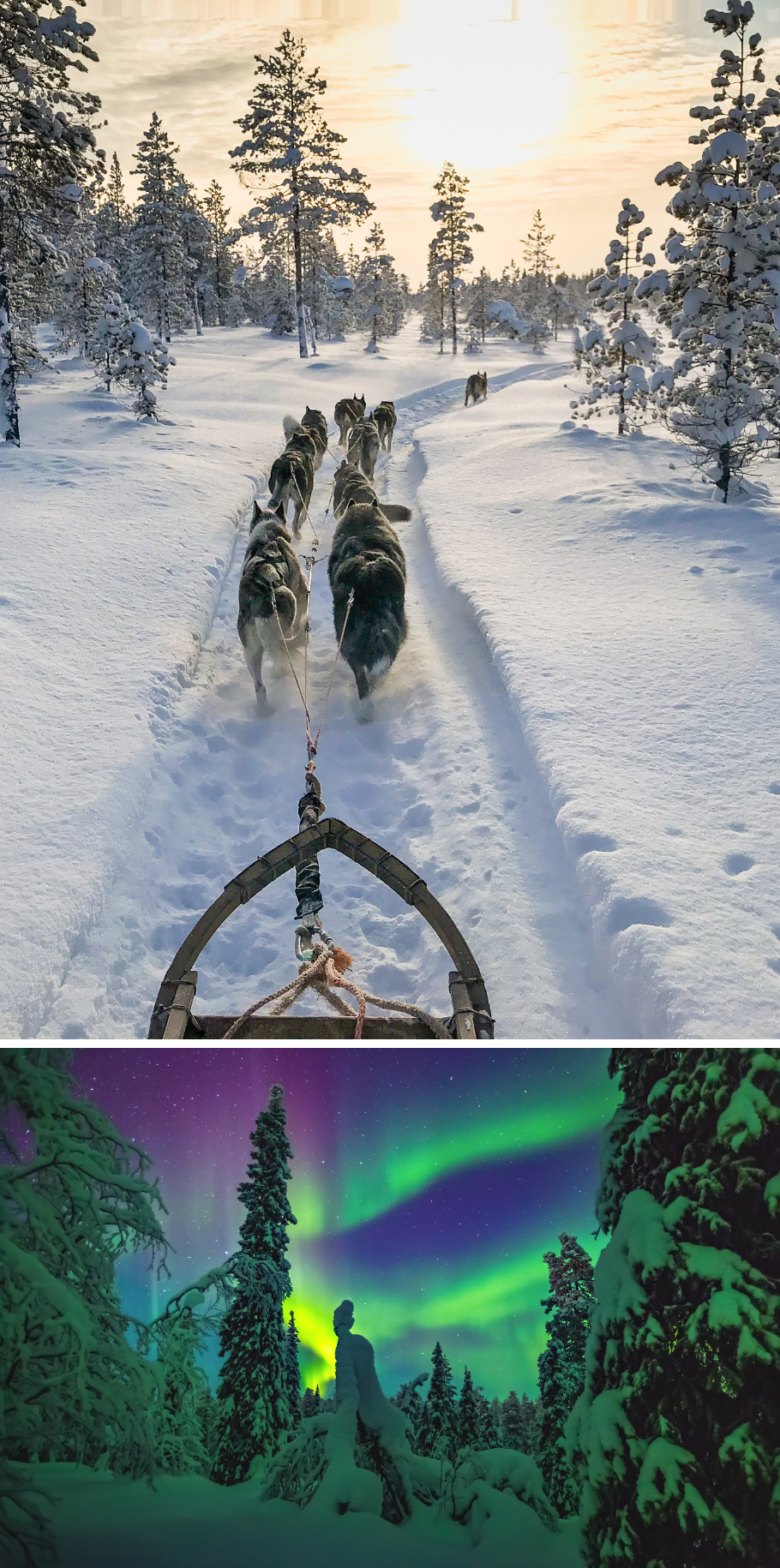 MAGICAL LAPLAND TRIP