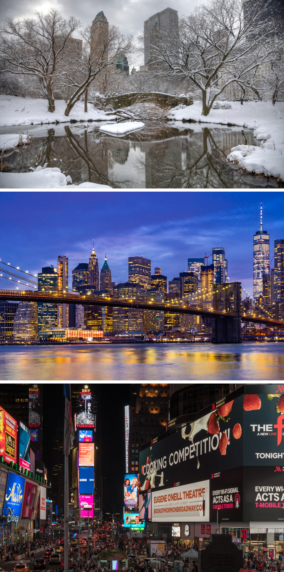 NEW YORK ESCAPE 2026