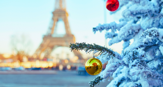 ROMANTIC PARIS CITY CRUISE