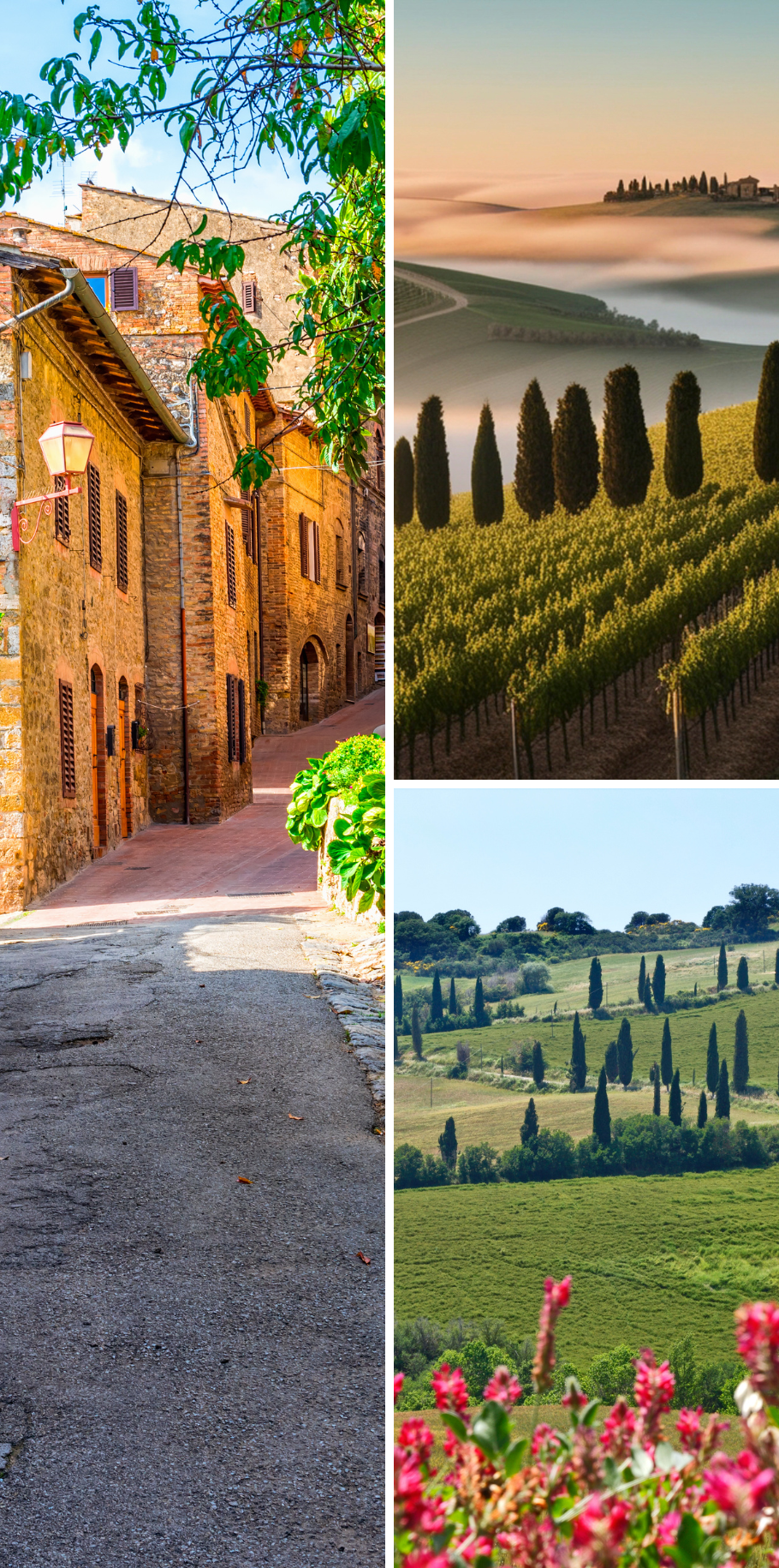 GUIDED TUSCANY TOUR