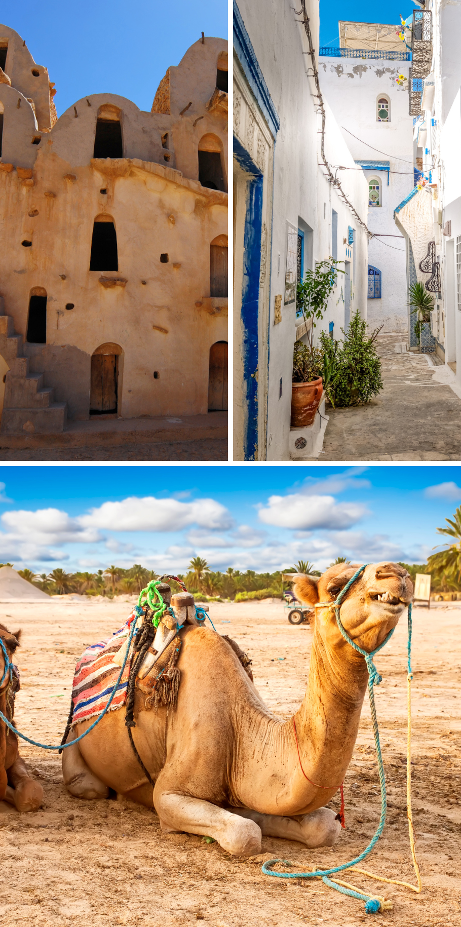 TUNISIA LUXURY ALL-INCLUSIVE COUPLES BREAK