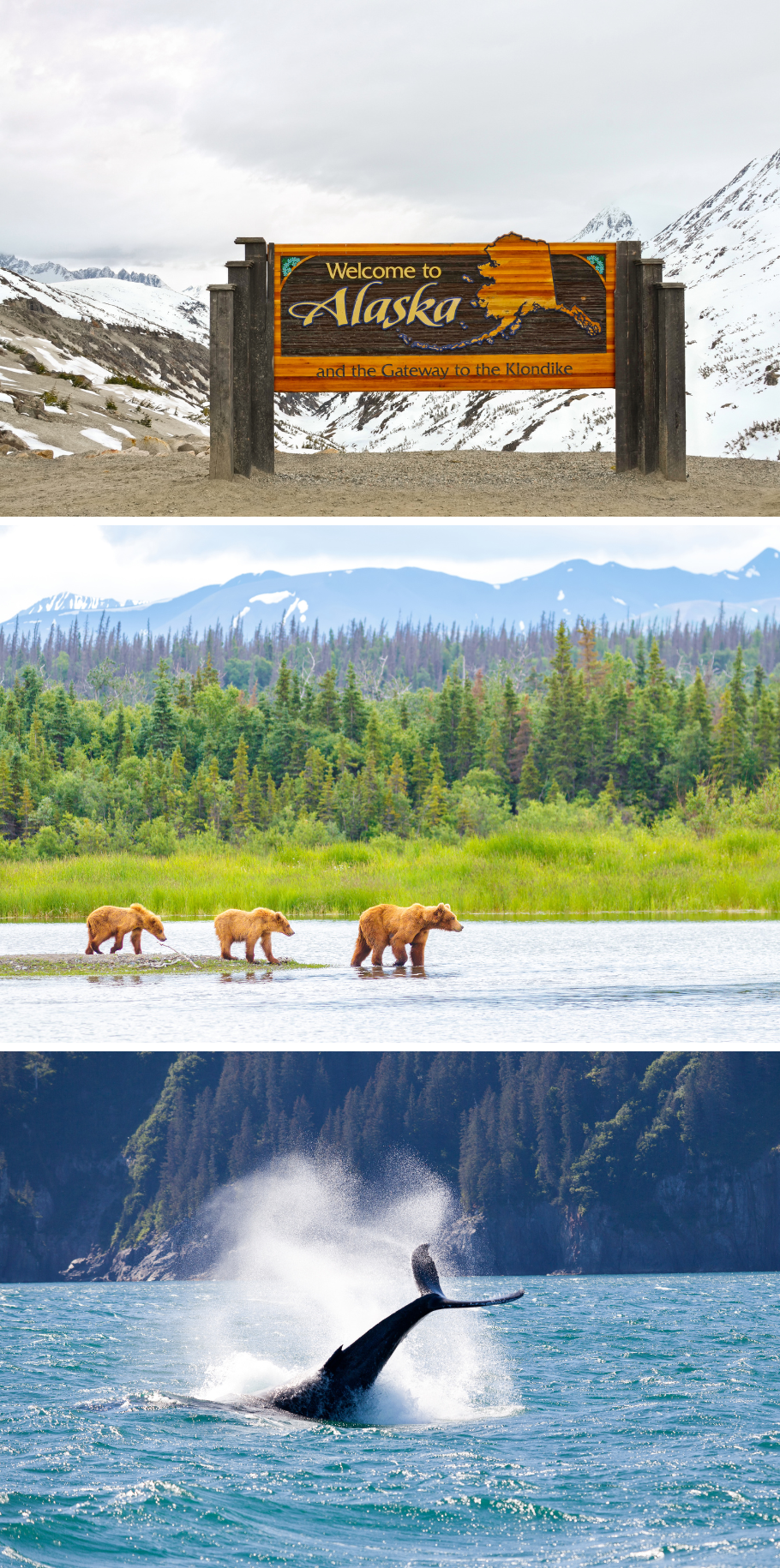 SEATTLE STAY & ALASKA CRUISE