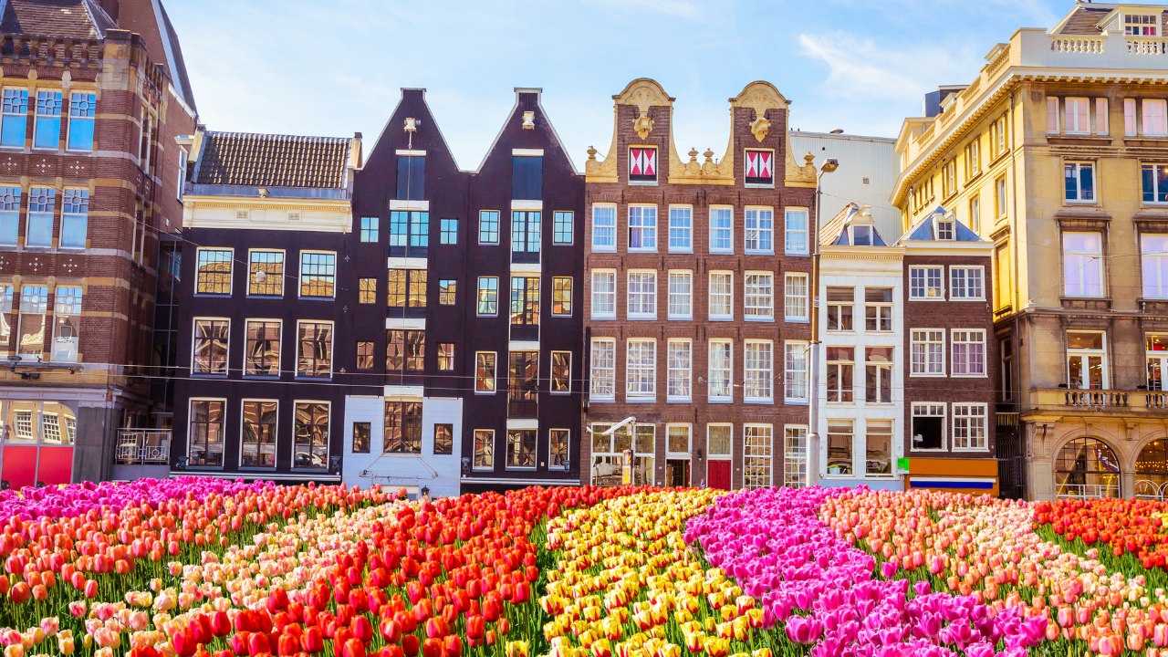 AMSTERDAM SPRING BREAK