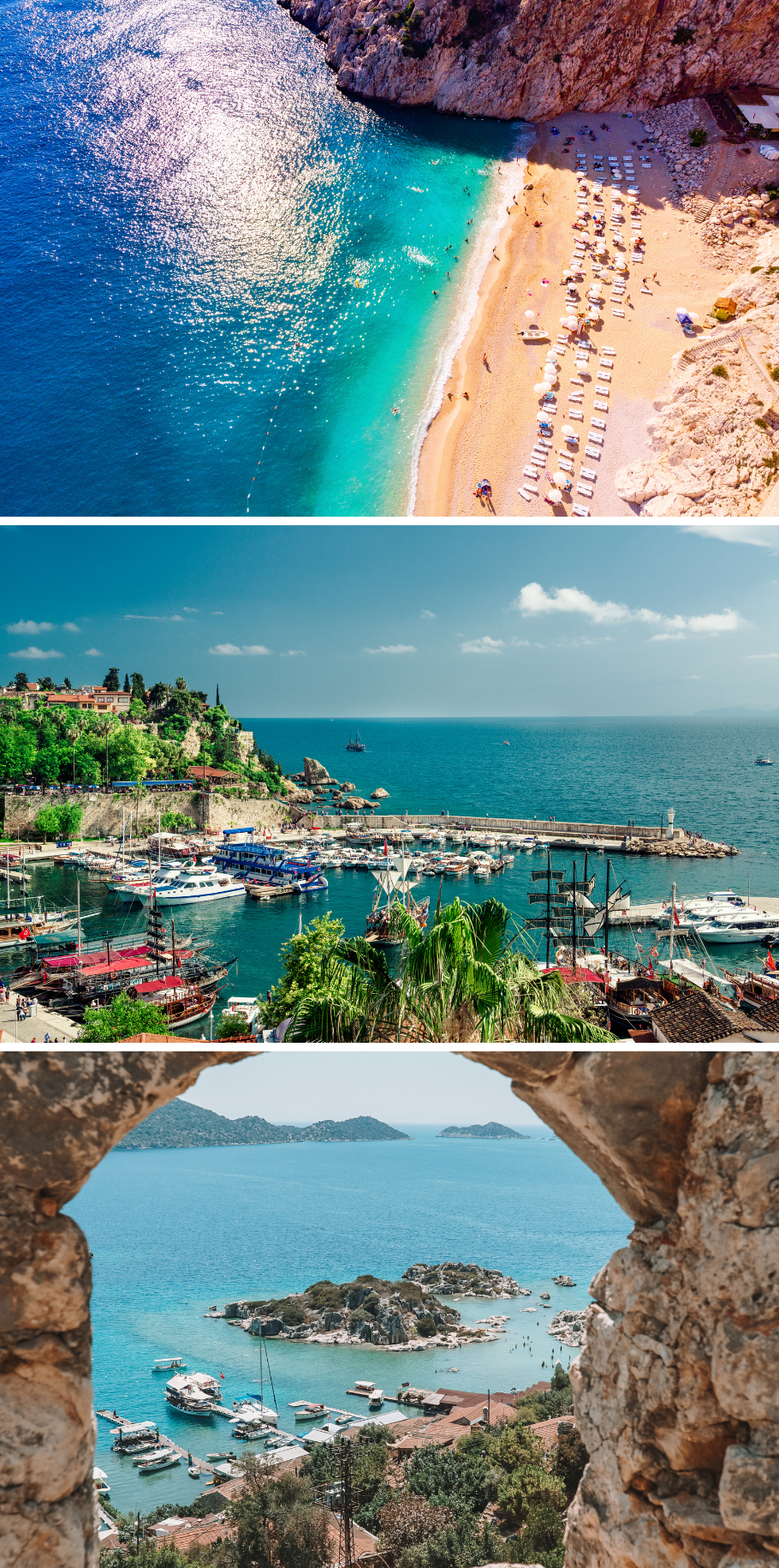 EASTER BREAK FAMILY TURKEY