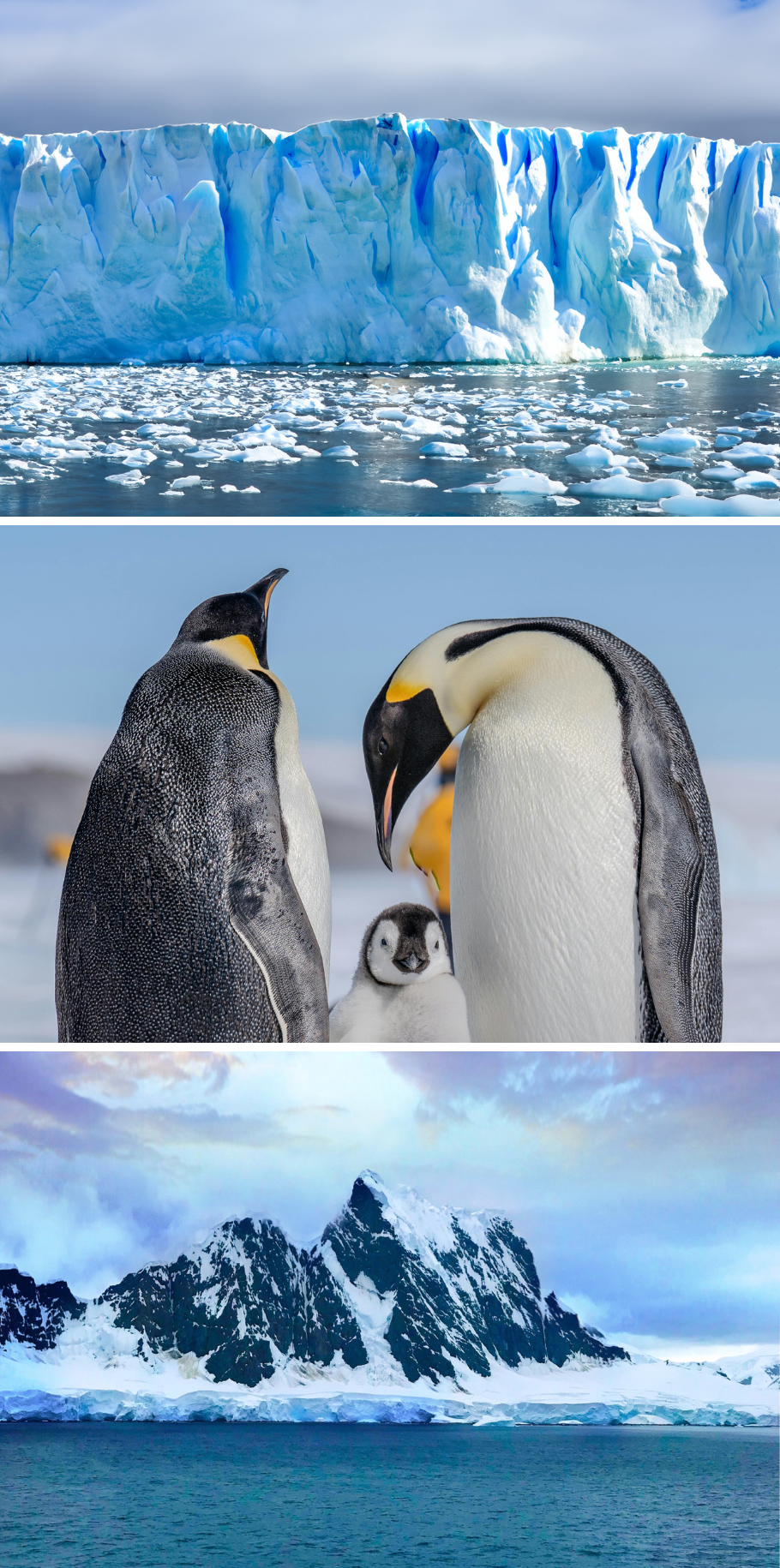 2027 ANTARCTICA CRUISE