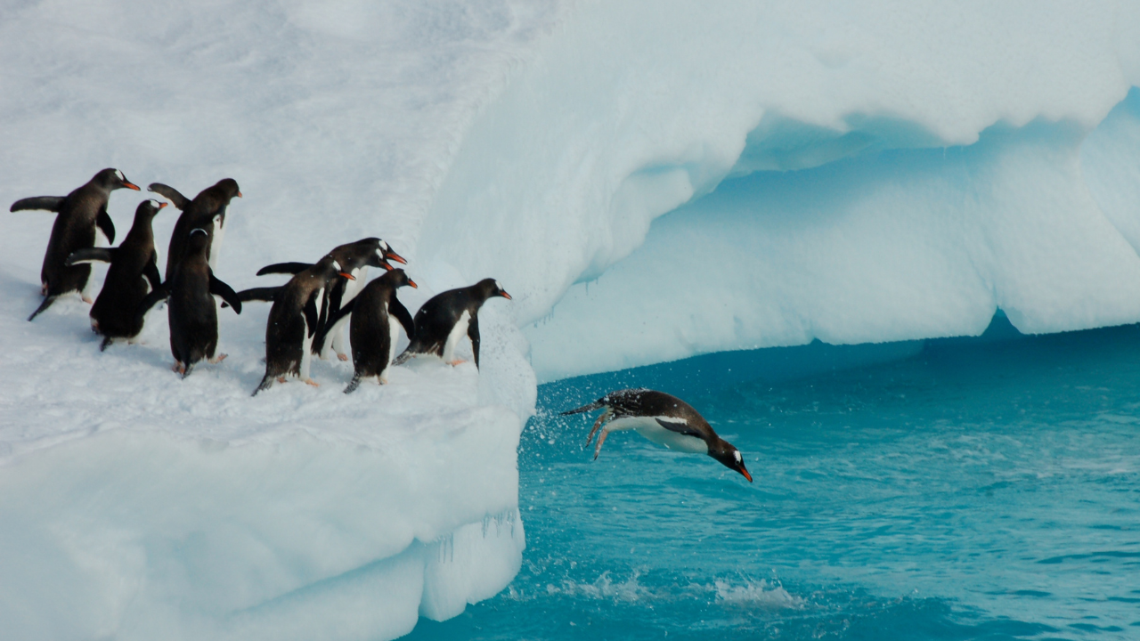 2027 ANTARCTICA CRUISE