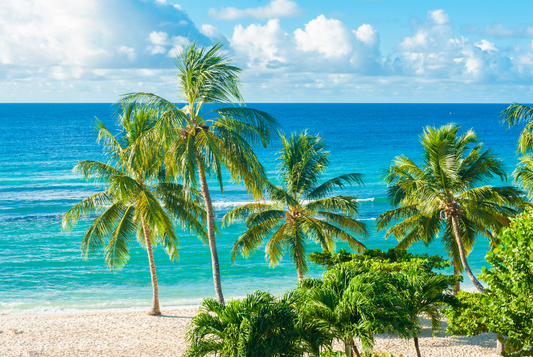 CARIBBEAN ISLAND HOPPING CRUISE
