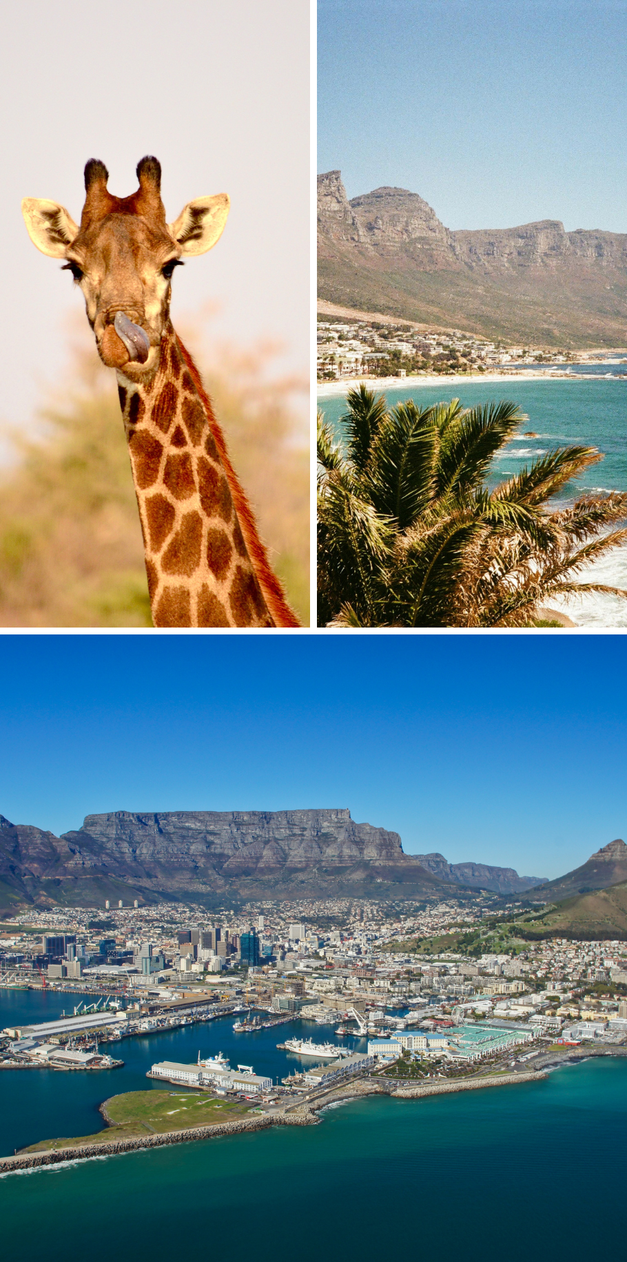 CAPE TOWN SAFARI AND THE WINELANDS