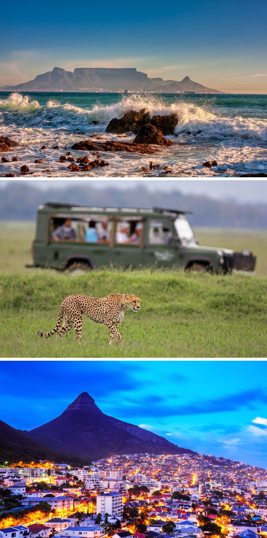 CAPE TOWN SAFARI AND THE WINELANDS