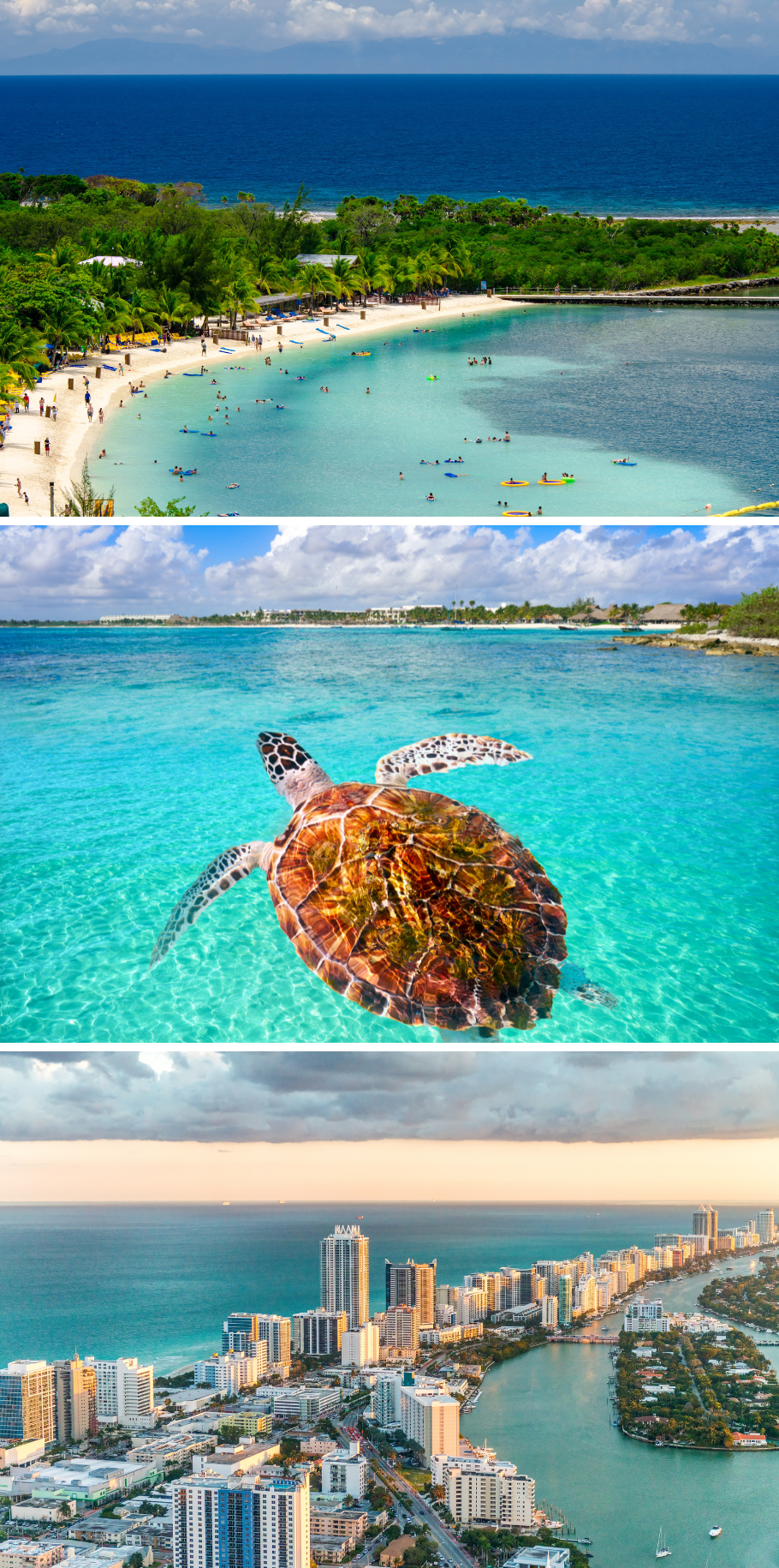 MIAMI & CARIBBEAN CRUISE ONBOARD NCL LUNA