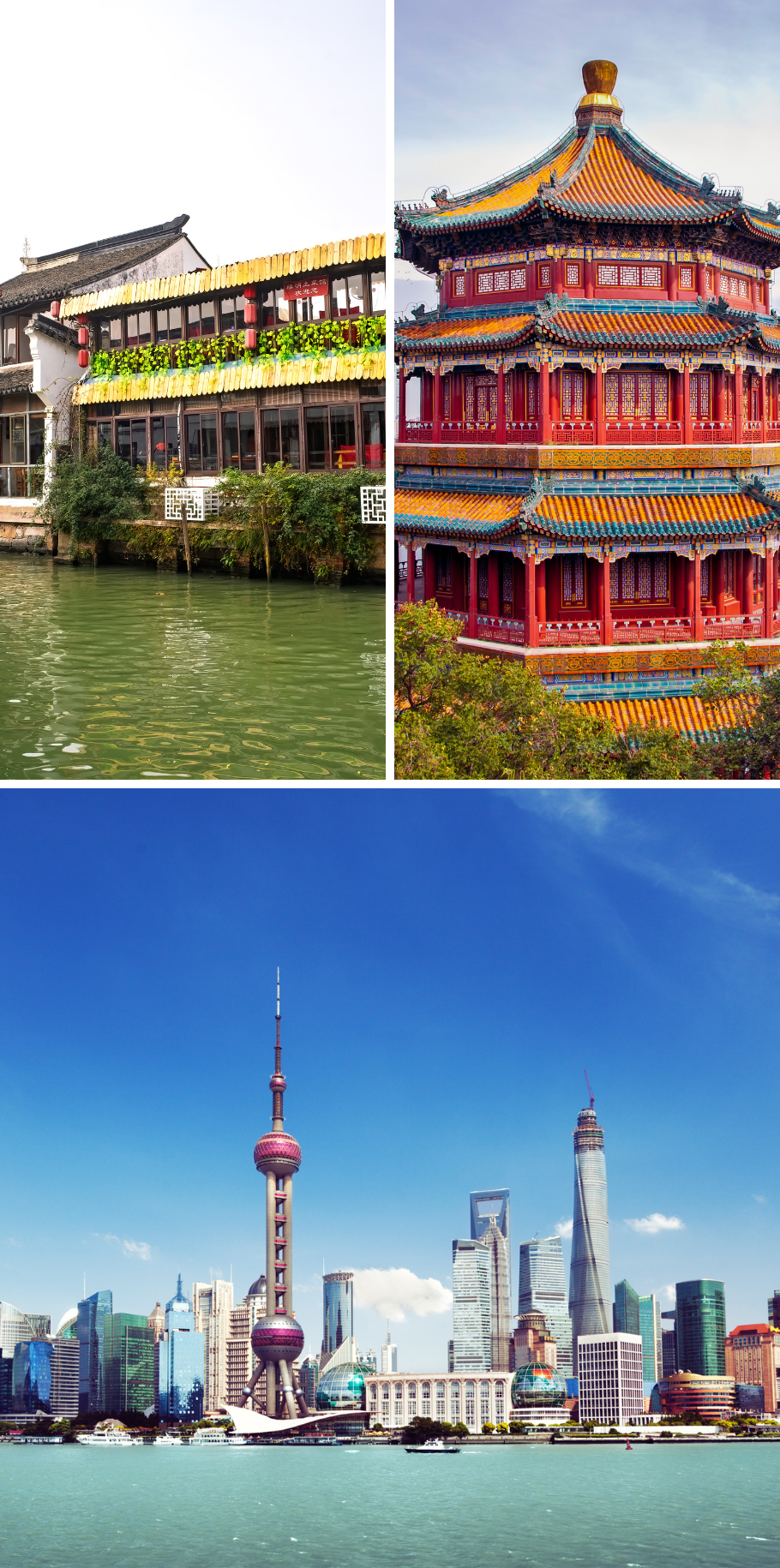 NEW HORIZON OF CHINA