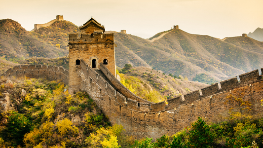 NEW HORIZON OF CHINA