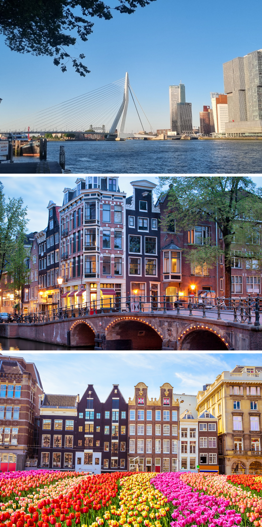 AMSTERDAM DISNEY CRUISE