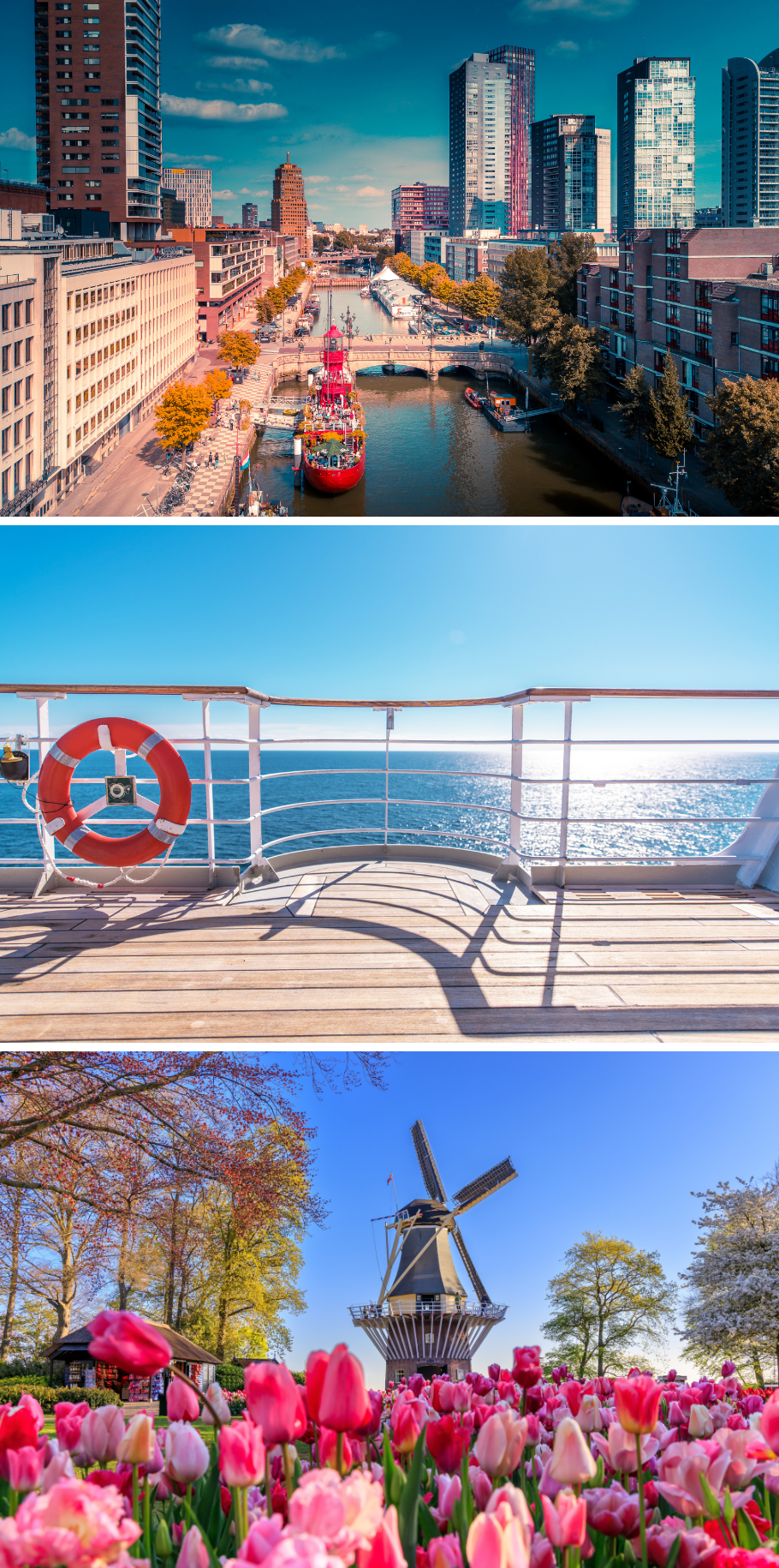 AMSTERDAM DISNEY CRUISE