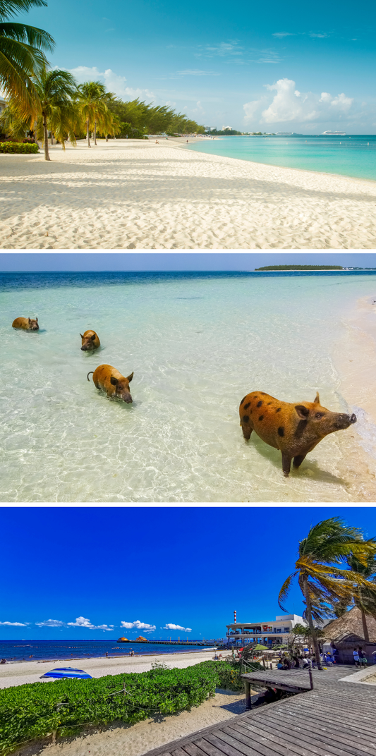 5* CRUISE - GRAND CAYMAN, MEXICO, AND PERFECT DAY CRUISE