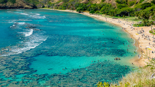 ALOHA HAWAIIAN ISLAND CRUISE