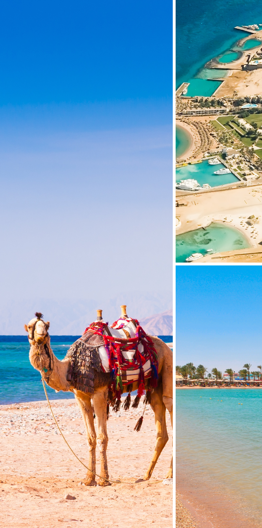 ALL INCLUSIVE SUMMER EGYPT
