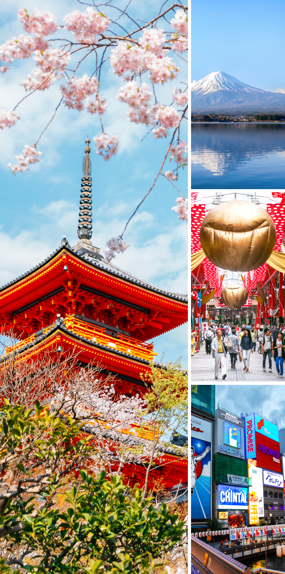 2026 JAPAN MULTI-CENTRE