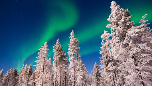 MAGICAL LAPLAND TRIP