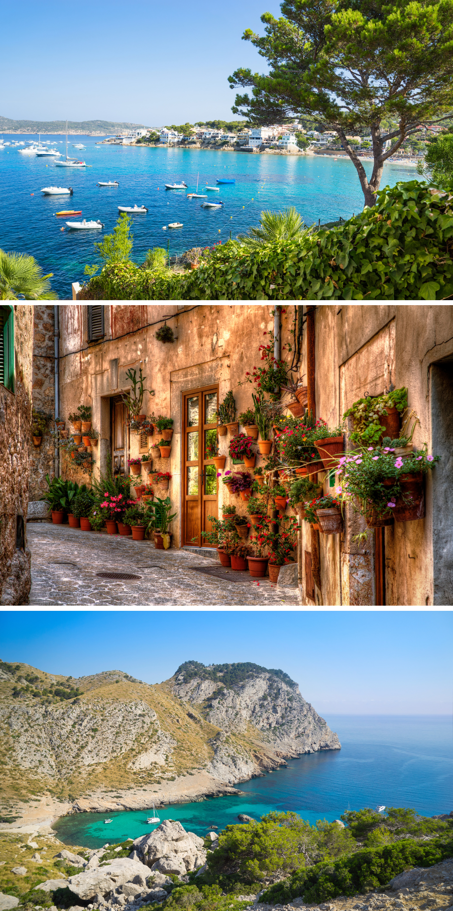 4*  MAJORCA 2027