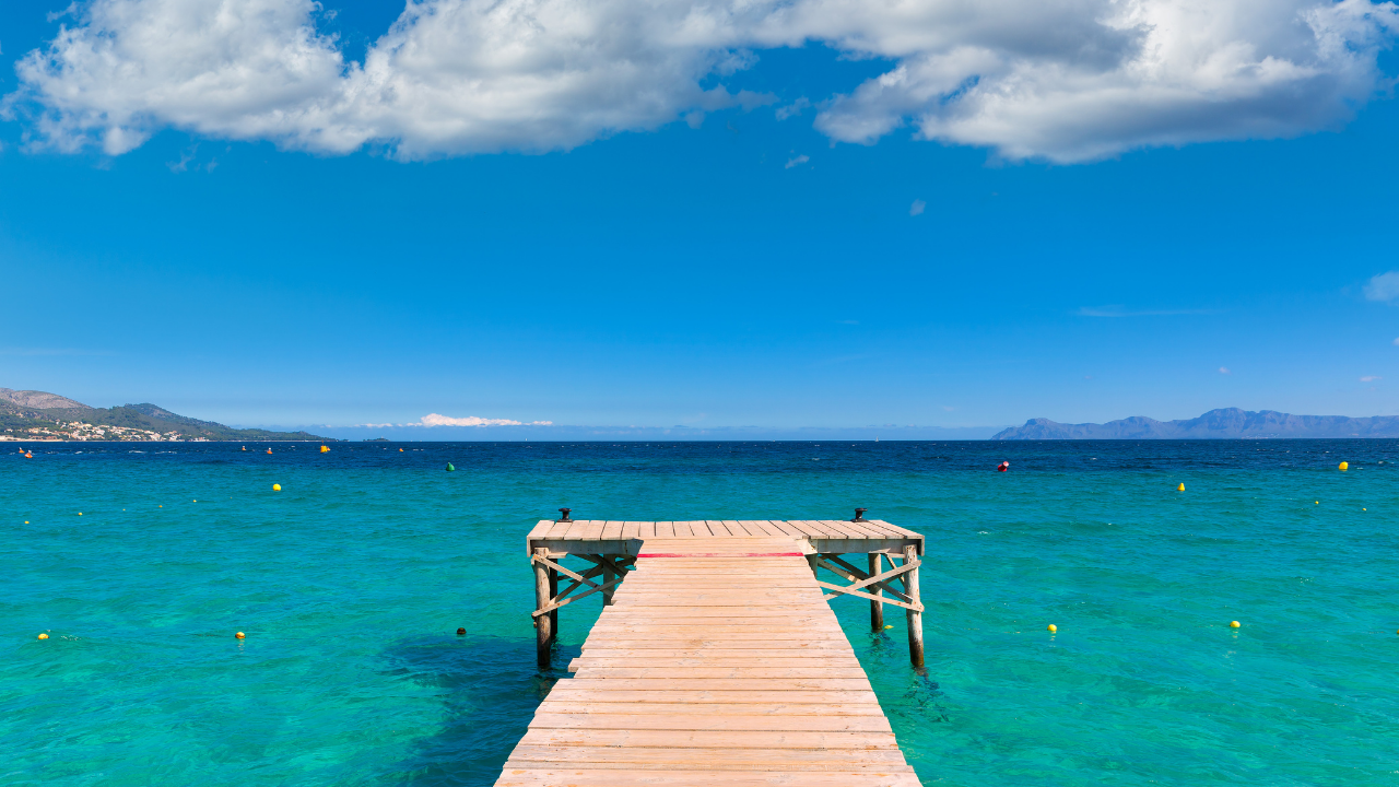 SOLO MAJORCA SAVER