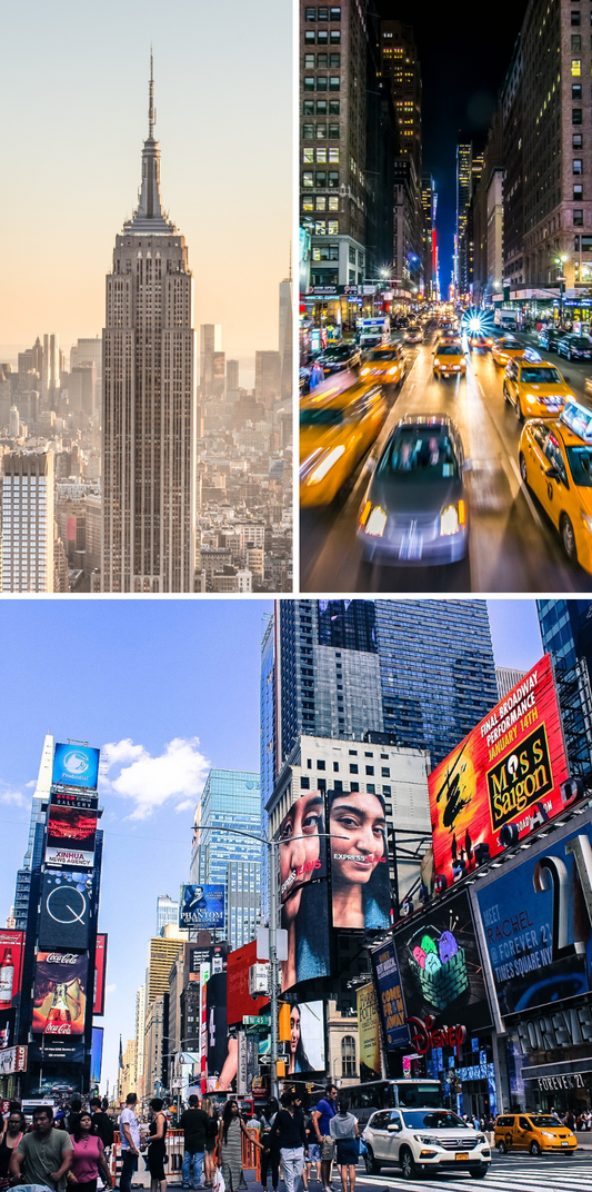 JANUARY SHOPPING IN NYC