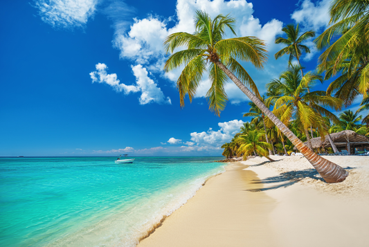 5 STAR BEACHFRONT PUNTA CANA