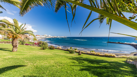 2026 TENERIFE HALF-BOARD GETAWAY