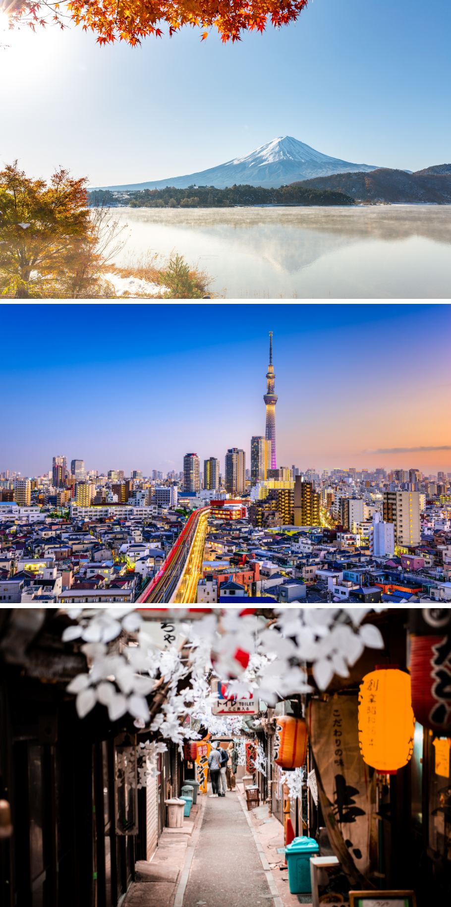 11 DAYS ESCORTED TOUR IN JAPAN